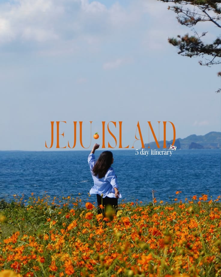 Jeju Offer